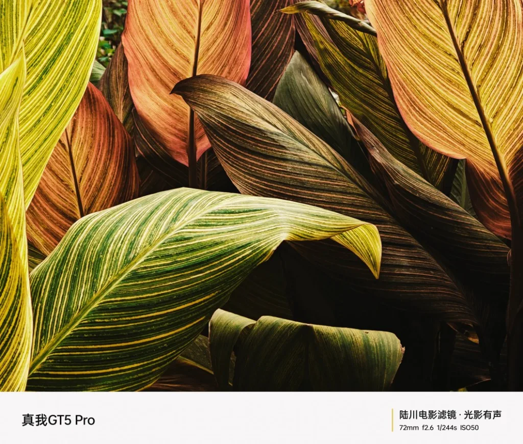Realme GT5 Pro