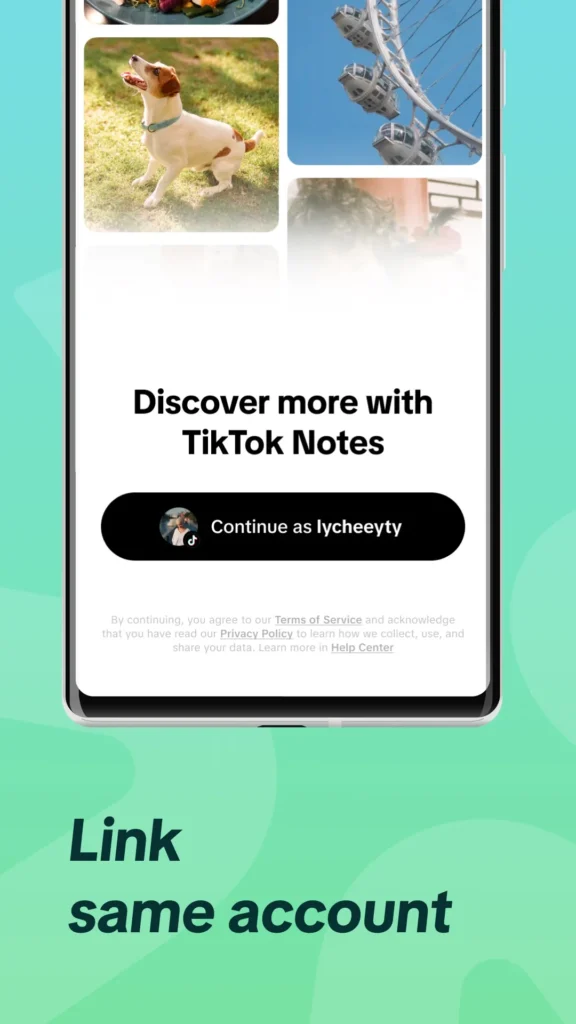 TikTok Notes